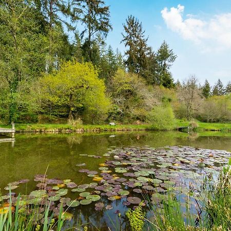 Romantic, Secluded Cottage In Cardinham Woods, Cornwall Ngoại thất bức ảnh