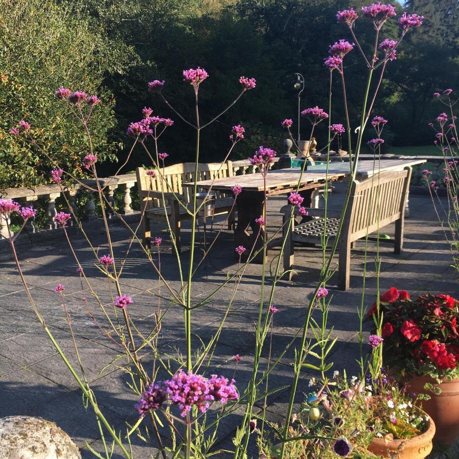 Romantic, Secluded Cottage In Cardinham Woods, Cornwall Ngoại thất bức ảnh