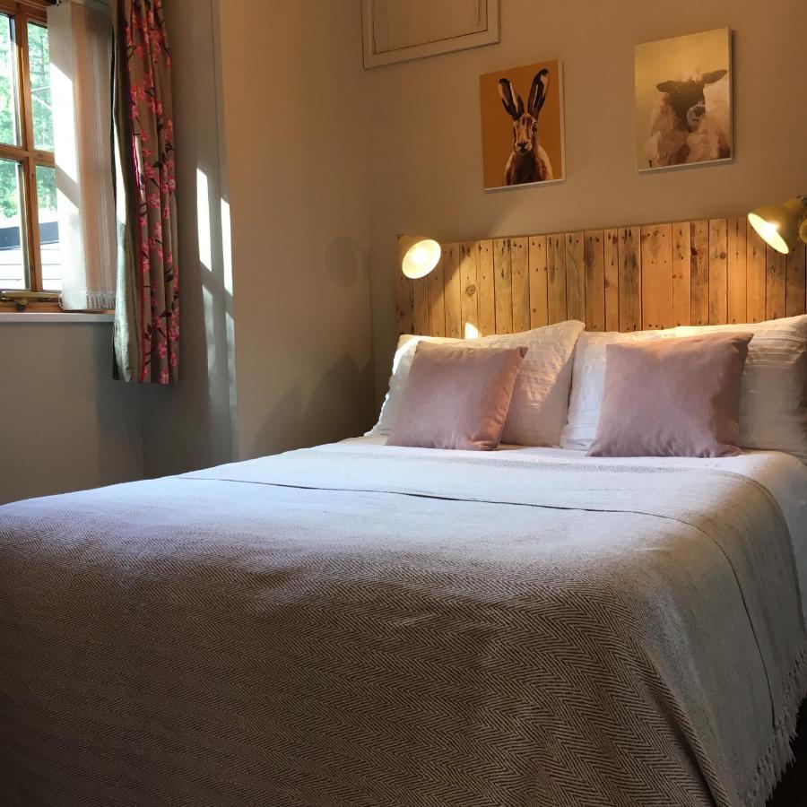 Romantic, Secluded Cottage In Cardinham Woods, Cornwall Ngoại thất bức ảnh